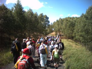 Leśnym szlakiem do Aleksandrowa Kujawskiego